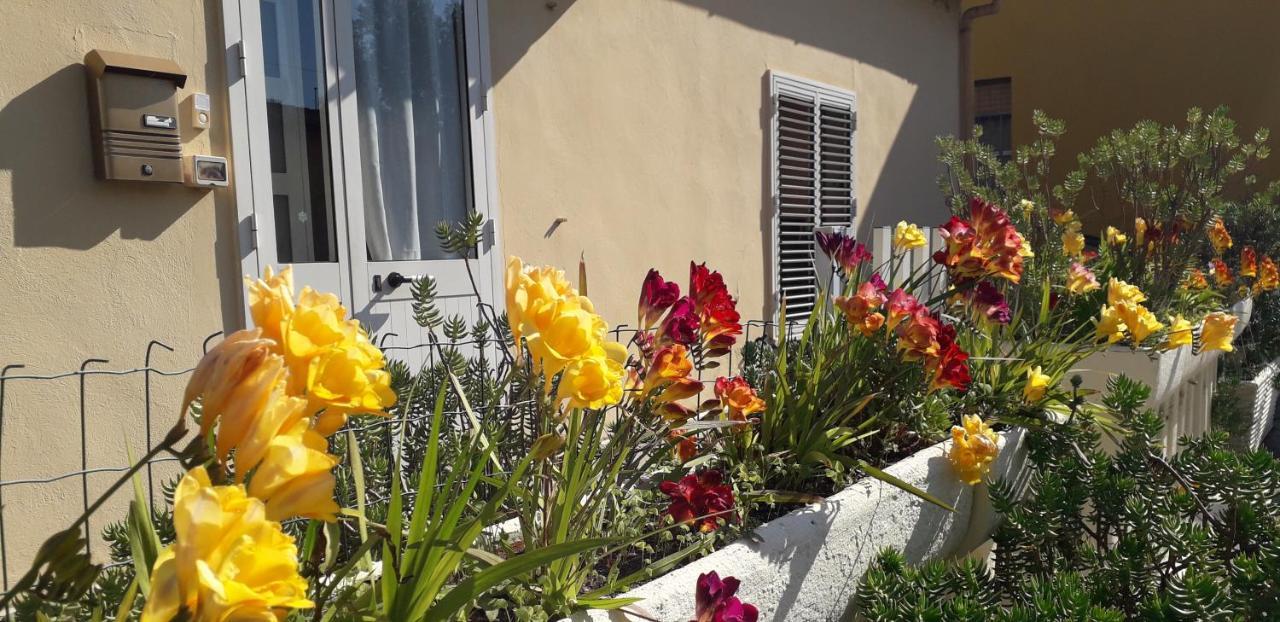 Sa Domu Antiga Villa Solarussa Ngoại thất bức ảnh