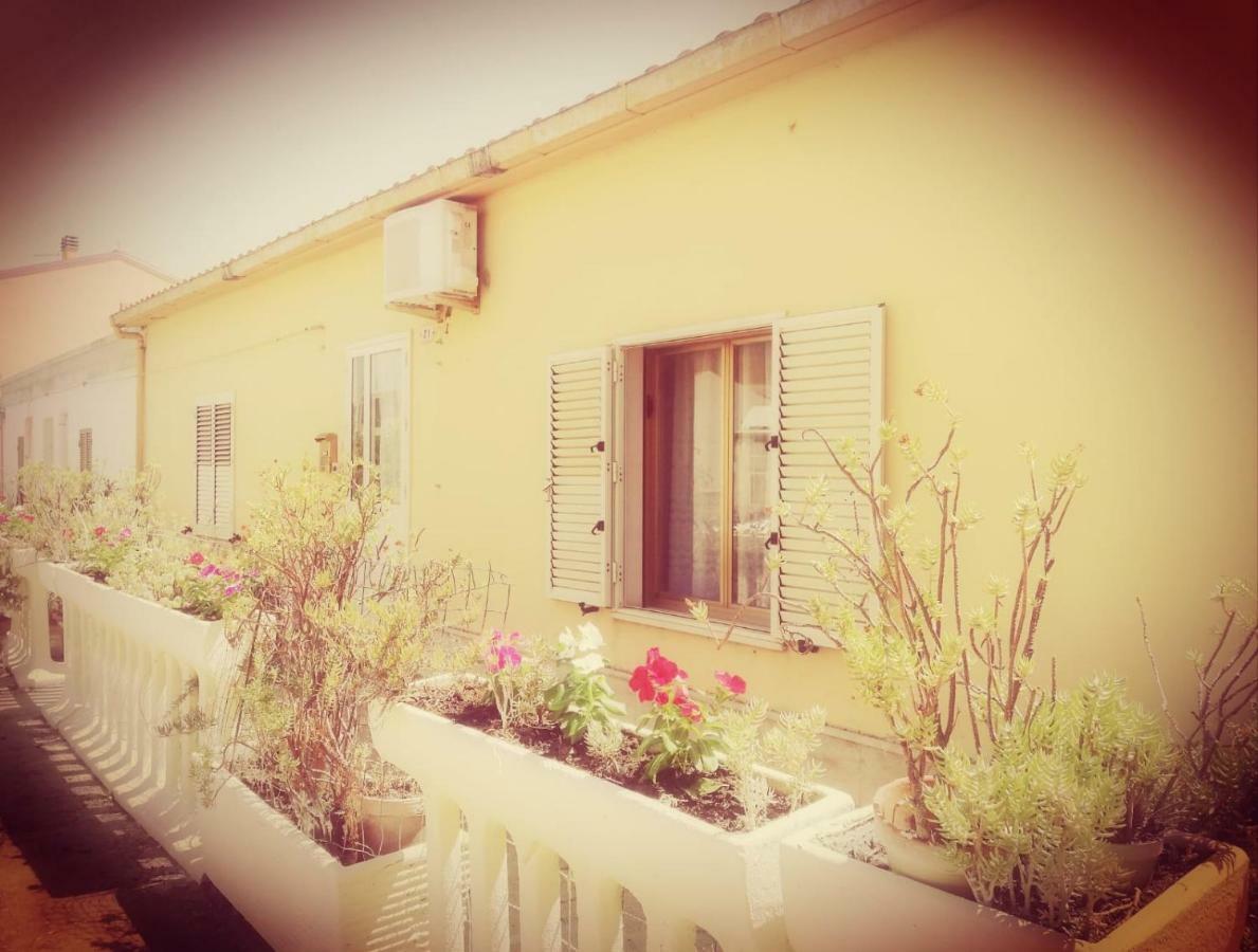 Sa Domu Antiga Villa Solarussa Ngoại thất bức ảnh